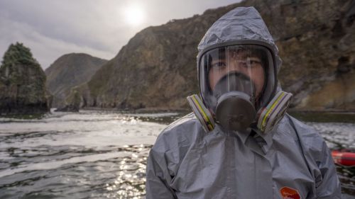 Desastre ambiental en Kamchatka