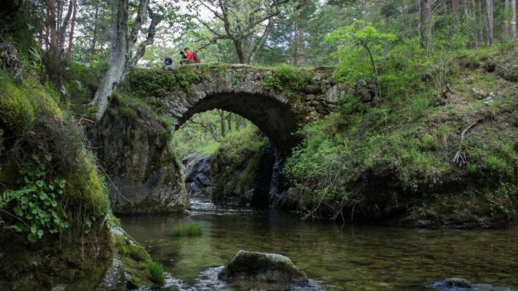 Solicitan la expropiación del Pinar de los Belgas y su inclusión en el Parque Nacional de Guadarrama