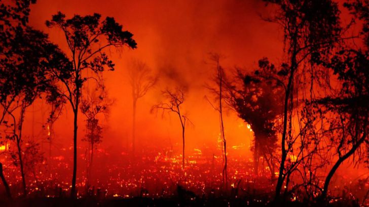 El Pantanal bate su propio récord de incendios