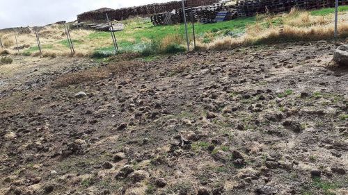 WWF denuncia a la granja de visón americano de Peguerinos por un vertido contaminante