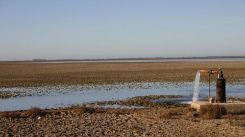 Solicitan la declaración urgente de las lagunas costeras como primer hábitat en peligro de desaparición en España