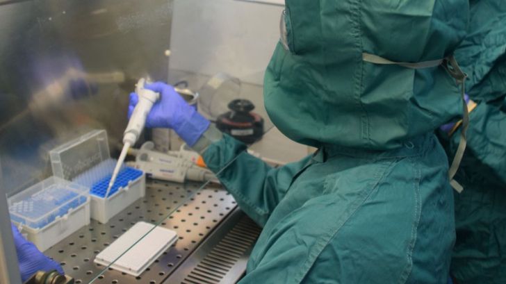 La prueba de detección de SARS-Cov-2 en saliva 'mantiene una alta sensibilidad'