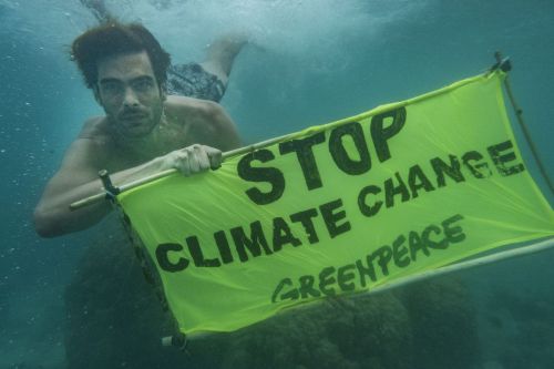 Greenpeace España y sus retos para 2021