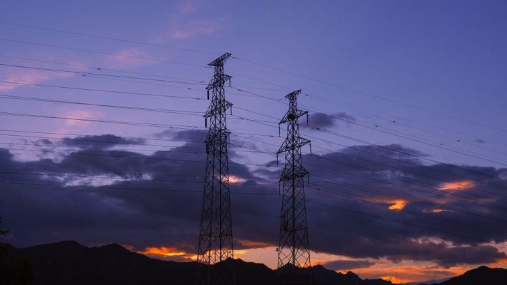 ¿Cómo pueden las redes eléctricas potenciar la biodiversidad?