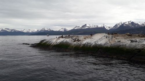 Argentina y Chile avanzan en el estudio del cambio climático en el Canal Beagle