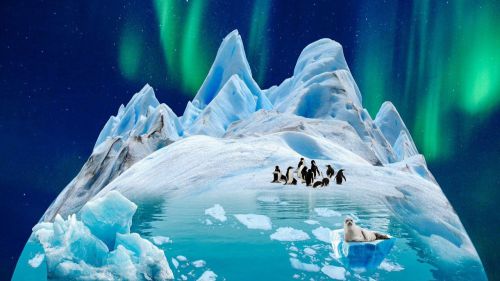Efectos en el fitoplancton ante el aumento de la temperatura en la Antártida