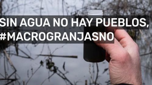 Greenpeace pone en marcha una red ciudadana de vigilancia para medir la contaminación del agua