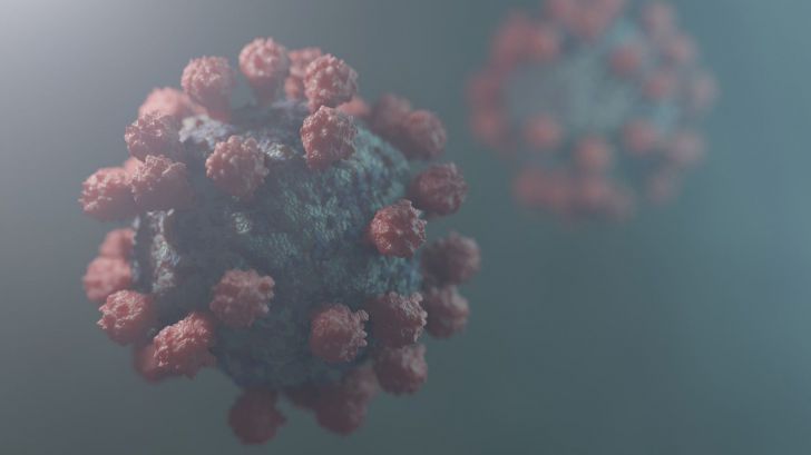La inmunidad celular es esencial para evitar la reinfección con el nuevo coronavirus