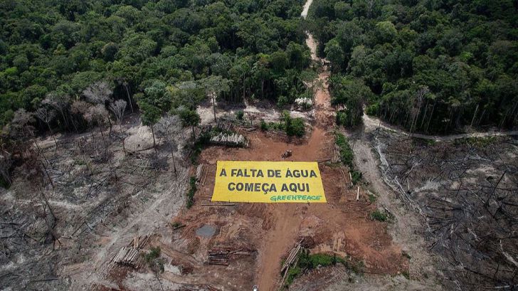 La Amazonía en peligro
