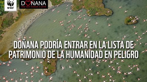 La Unesco vigila Doñana ante las graves amenazas a este espacio Patrimonio de la Humanidad