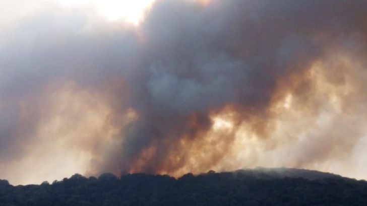 La grave situación de los incendios forestales en Grecia y Turquía podría darse en España