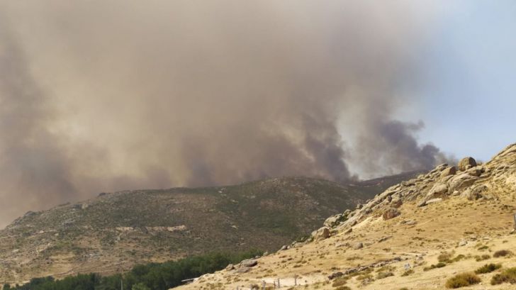 Los espacios afectados por incendios forestales deben contemplar un plan de restauración integral y participativo