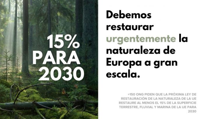 Más de 150 ONG exigen objetivos ambiciosos para 2030 en la próxima ley de restauración de la naturaleza de la UE