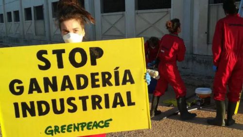 Greenpeace lanza al Gobierno diez propuestas para un PERTE agroalimentario sostenible