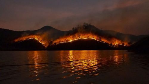 Crisis climática: Los incendios aumentarán un 30% para 2050 y un 50% para fin de siglo