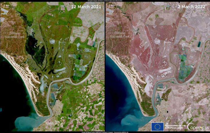 25 sociedades científicas estatales y 1.109 científicos alertan sobre el futuro de Doñana