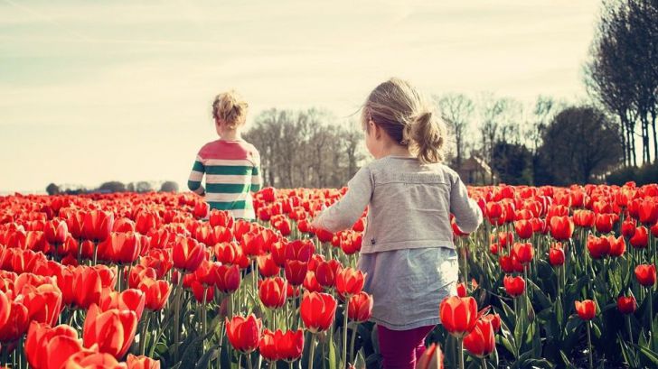 Estudios: Espacios verdes arbolados favorables para el desarrollo infantil frente al pavimento y la hierba