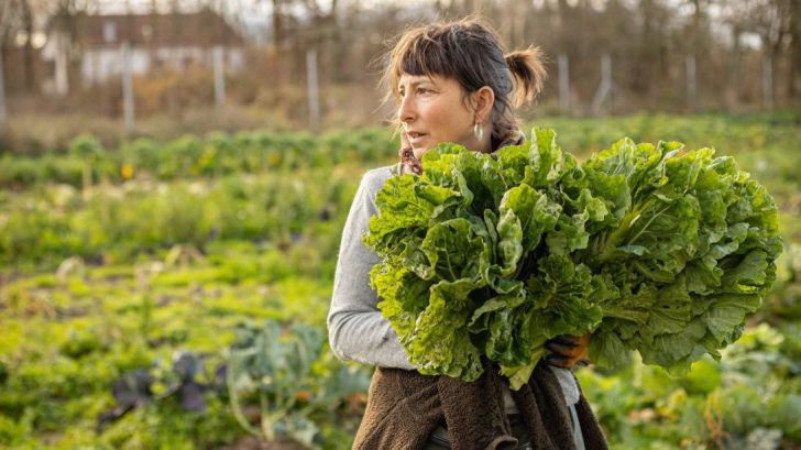 La urgencia de una transición agroecológica en España