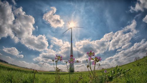 ¿Está la UE dando pasos atrás en la conservación de la naturaleza por las energías renovables?