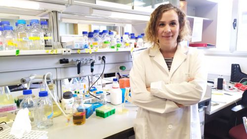 Un nuevo proyecto del Centro de Investigación del Cáncer analiza la tolerancia al daño en el ADN