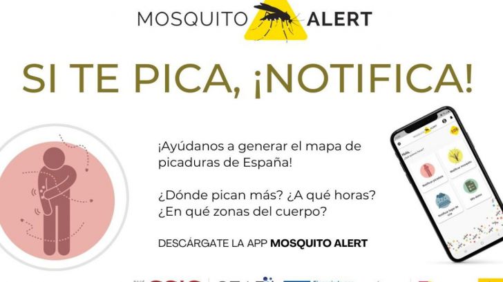 Apps: Sanidad apuesta por Mosquito Alert como herramienta de vigilancia