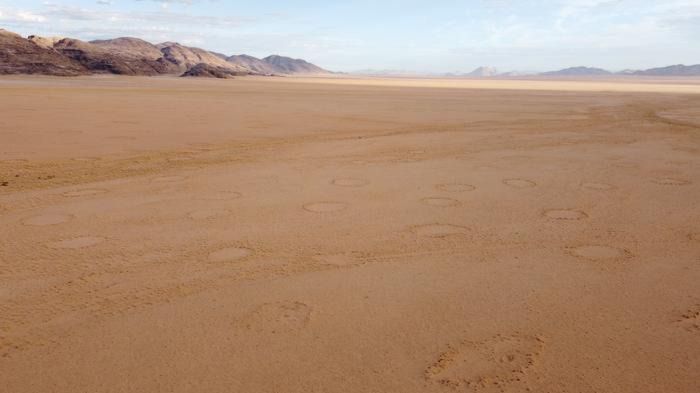 Encuentran misteriosos círculos de hadas en 263 desiertos