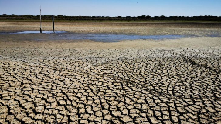 CSIC / Laguna de Santa Olalla, en Doñana, Carmen Díaz Paniagua