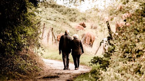 Ciencia: La longevidad puede estar asociada a la capacidad de sentir ciertos olores