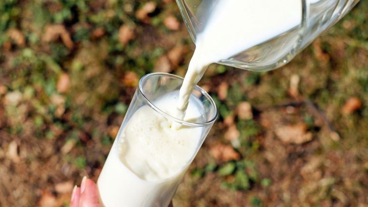 Un componente de los lácteos ayuda a prevenir el envejecimiento cognitivo