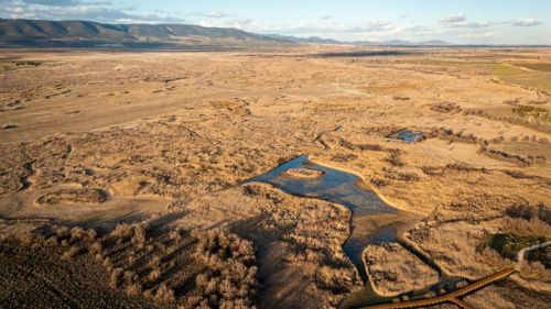 Urgente llamado de ecologistas para salvar el Parque Nacional de las Tablas de Daimiel