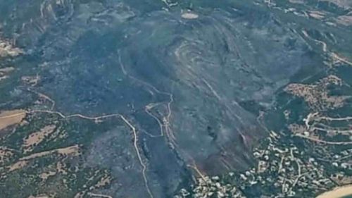 Incendios devastan Tarifa tras años de abandono en la gestión forestal