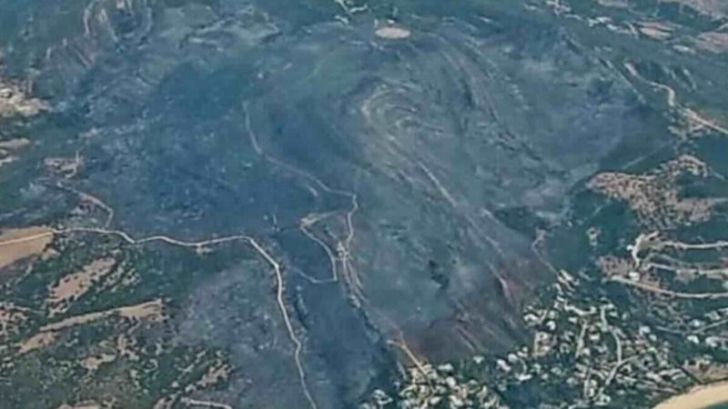 Incendios devastan Tarifa tras años de abandono en la gestión forestal