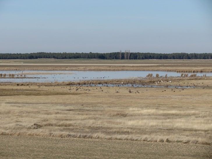 Es urgente proteger más áreas en la Red Natura 2000