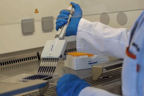 AIMPLAS impulsa recubrimientos ignífugos sostenibles y analiza bioplásticos