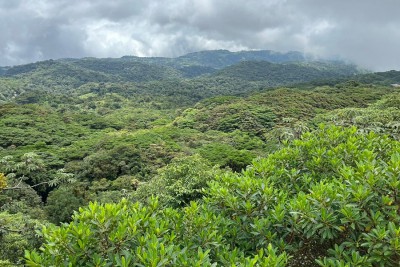 Lanzan BioTime 2.0, la mayor base de datos sobre biodiversidad global