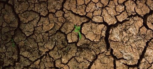 Inicia en Brasilia la Conferencia Global sobre Clima y Salud