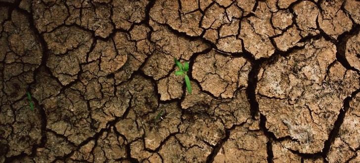 Inicia en Brasilia la Conferencia Global sobre Clima y Salud