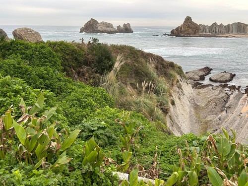 Más de 200 iniciativas contra especies invasoras en España y Portugal