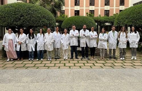 Innovador método permite evaluar materiales antivirales sin alta bioseguridad
