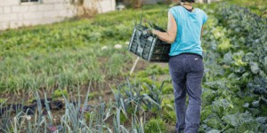 España podría adoptar una dieta climática con alimentos locales y agroecológicos