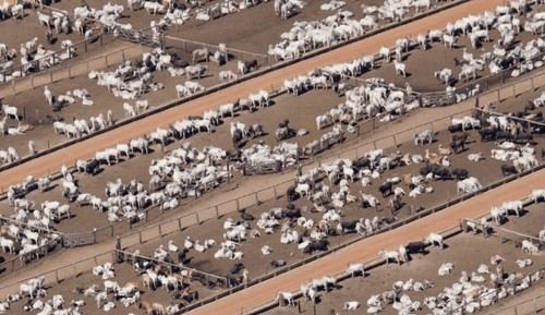 Empresas españolas destacan entre las más contaminantes del sector cárnico y lácteo global