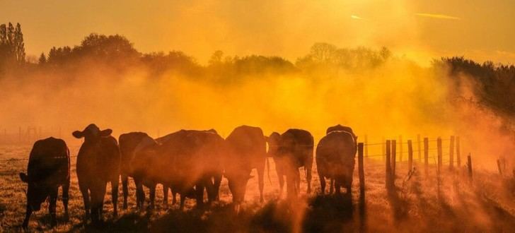 2025 podría ser uno de los años más cálidos jamás registrados