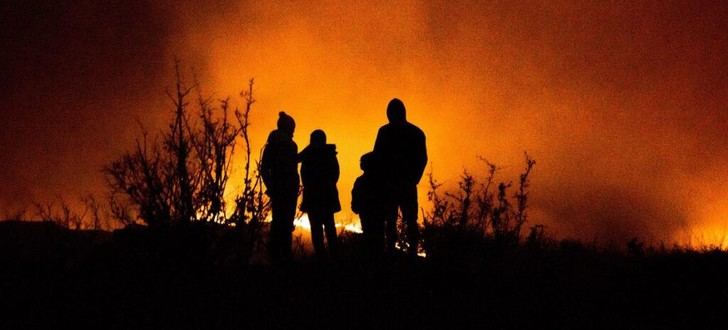 Los bosques en peligro por el cambio climático y plagas