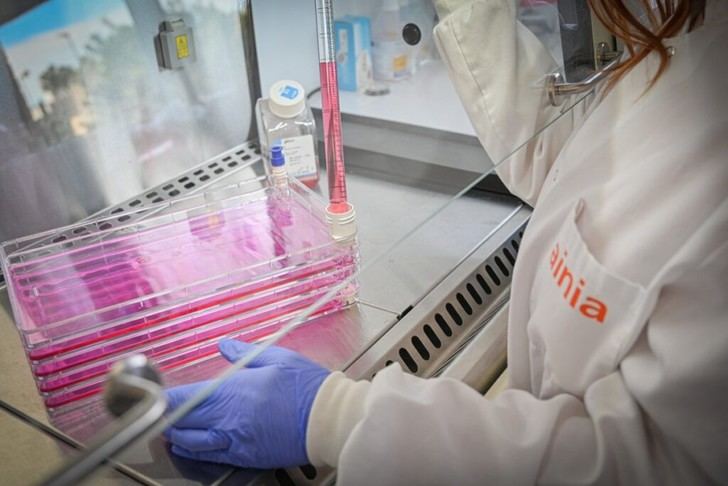 AINIA impulsa la producción de carne cultivada y proteínas alternativas