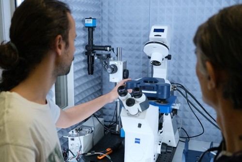 El CSIC desarrolla un innovador método de IA para predecir propiedades celulares