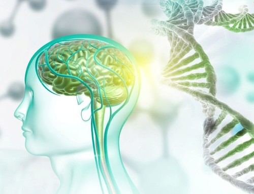 Nuevas moléculas del CSIC podrían corregir alteraciones genéticas asociadas al autismo