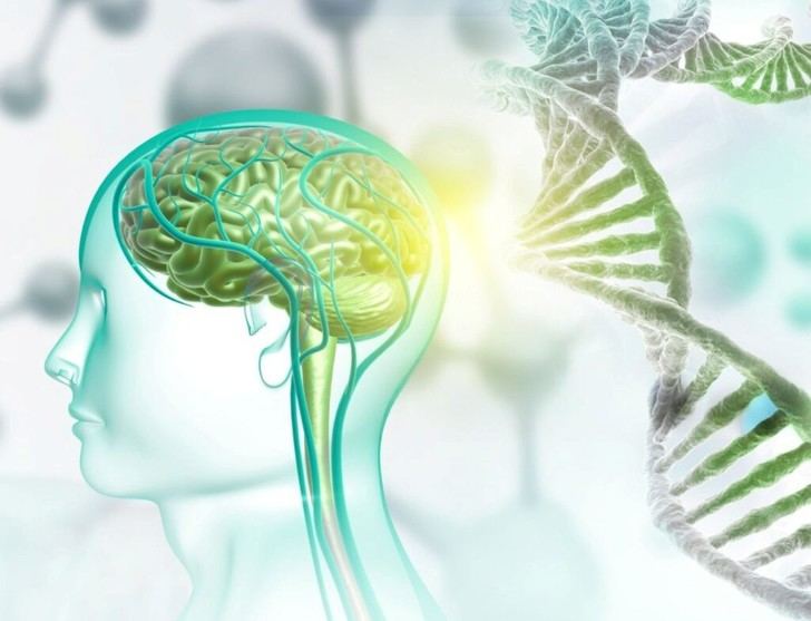 Nuevas moléculas del CSIC podrían corregir alteraciones genéticas asociadas al autismo