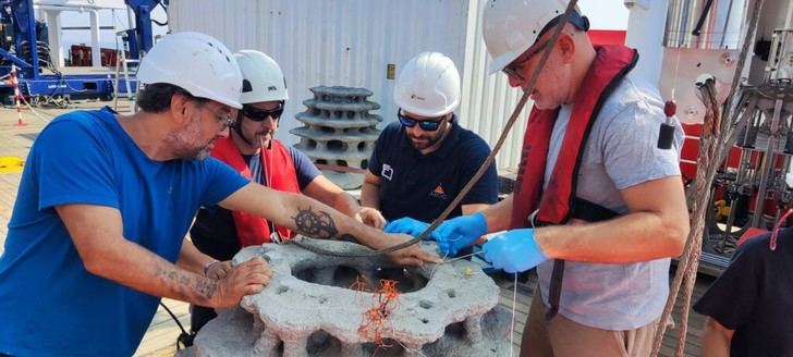 CSIC crea arrecifes artificiales en el mar de Alborán para recuperar corales profundos