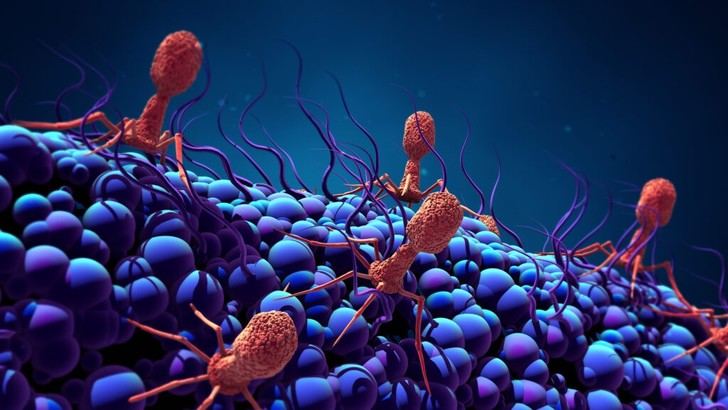 CSIC obtiene 700.000 euros para avanzar en investigación de salud