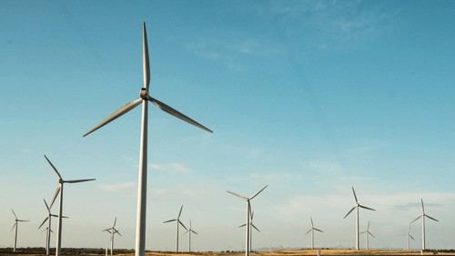 El IDAE evaluará el futuro de la reindustrialización en energías renovables en España